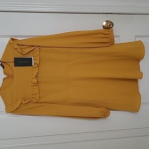 Zara Mustard Long Sleeve Dress